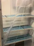 سفينة سياحية/عبّارة للبيع