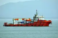 زورق السحب للبيع
