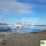 سفينة نقل بضائع بالمركبات (Ro-Ro) للبيع