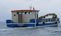 زورق السحب للبيع