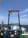 قوارب العمل للبيع