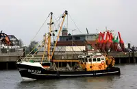 Trawler للبيع