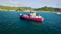 General Cargo/Multi-purpose للبيع