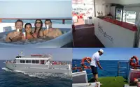 سفينة سياحية للبيع