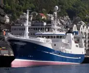 Purse seiner للبيع