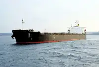 الناقل السائبة للبيع