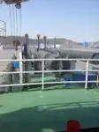 كاشطة للبيع