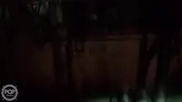 سفينة صيد بالجر للبيع
