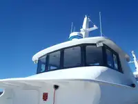 سفينة إنزال، ناقلة للبيع