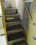 قارب طيار للبيع