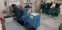 زورق دورية للبيع
