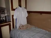 زورق دورية للبيع