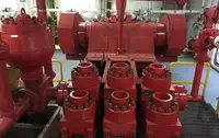 سفينة لنقل الغاز الطبيعي المسال (LNG) للبيع