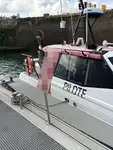 قارب طيار للبيع