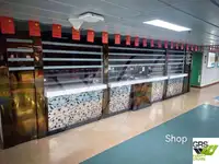 سفينة نقل بضائع بالمركبات (Ro-Ro) للبيع