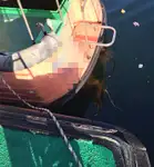قارب طيار للبيع