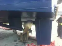 قارب طاقم للبيع