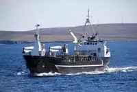 الناقل السائبة للبيع