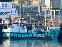 Purse seiner للبيع