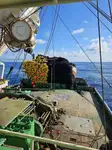 Purse seiner للبيع