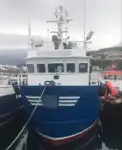 قوارب العمل للبيع