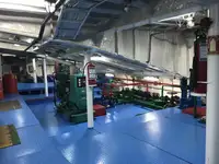 Ro-Ro ship للبيع