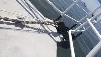 قارب طاقم للبيع