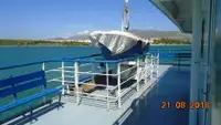 Ro-Ro ship للبيع