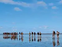 بارجة للبيع