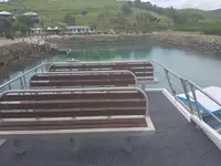 قاطعة للبيع