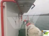 سفينة إنزال، ناقلة للبيع