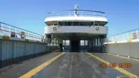 Ro-Ro ship للبيع