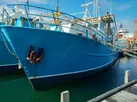 Trawler للبيع