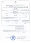 سفينة نقل بضائع بالمركبات (Ro-Ro) للبيع