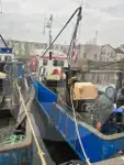 حاملة الأسماك الحية للبيع