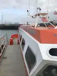 قارب مزدوج الهيكل للبيع