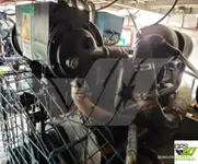 سفينة خدمات مزارع الرياح البحرية للبيع