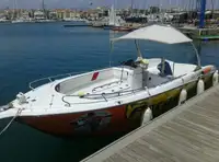 القاطع للبيع