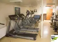 حافلة إقامة للبيع