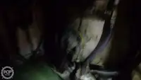 سفينة صيد بالجر للبيع
