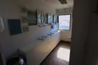 سفينة سياحية للبيع