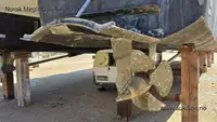 قارب مزدوج الهيكل للبيع