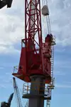 سفينة لنقل الغاز الطبيعي المسال (LNG) للبيع