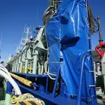 Purse seiner للبيع
