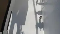سفينة صيد بالجر للبيع