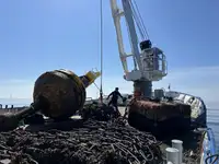 متعددة الأغراض للبيع