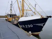 Trawler للبيع