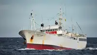 Trawler للبيع
