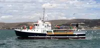 Purse seiner للبيع