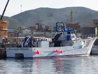 كاتاماران للبيع
